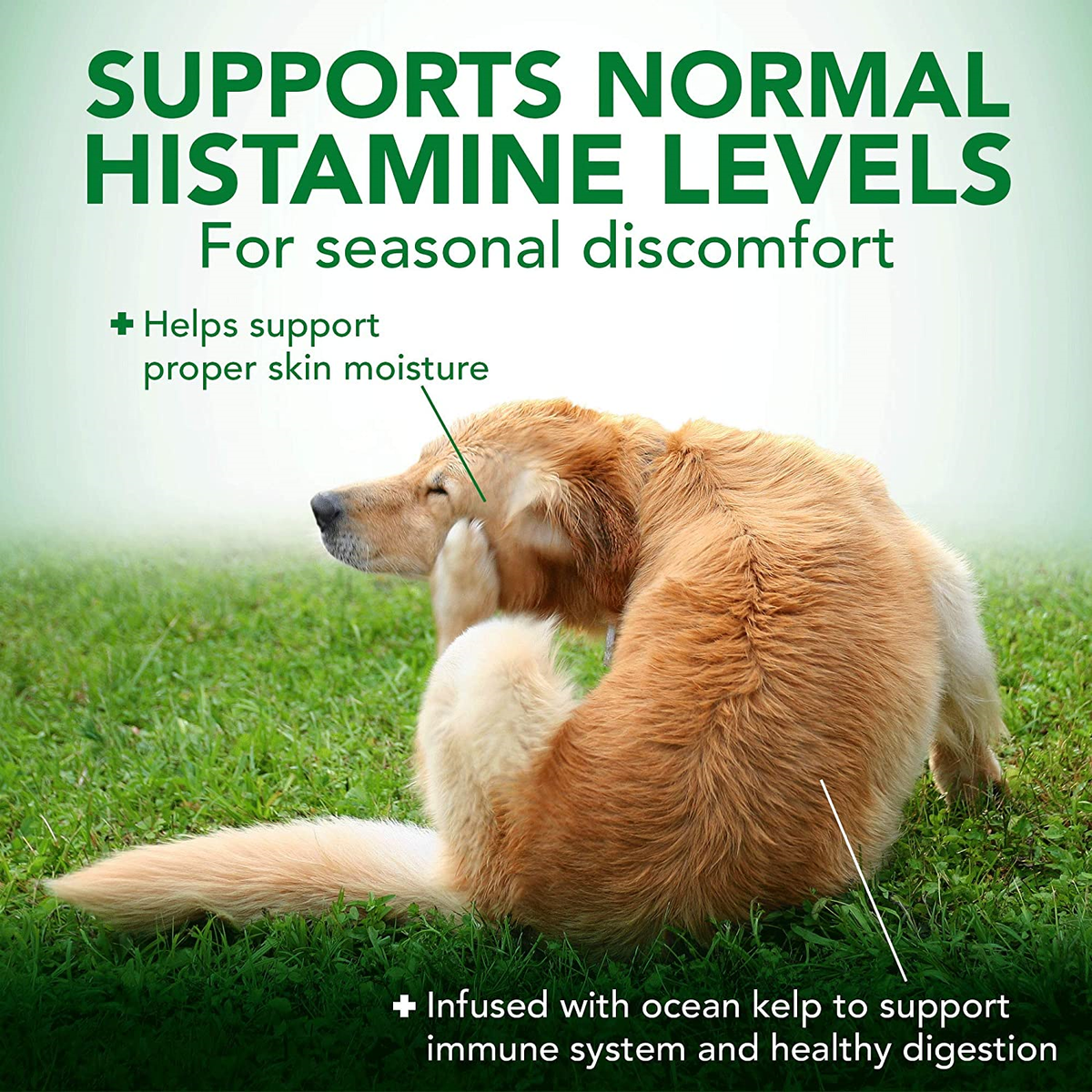 Vet's Bets Seasonal Allergy Support 60 Tablets