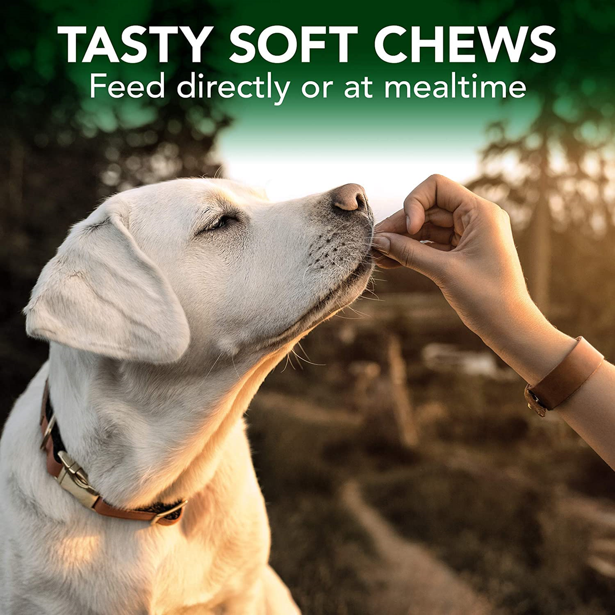 Vet's Bets Seasonal Allergy Support 30 Soft Chews