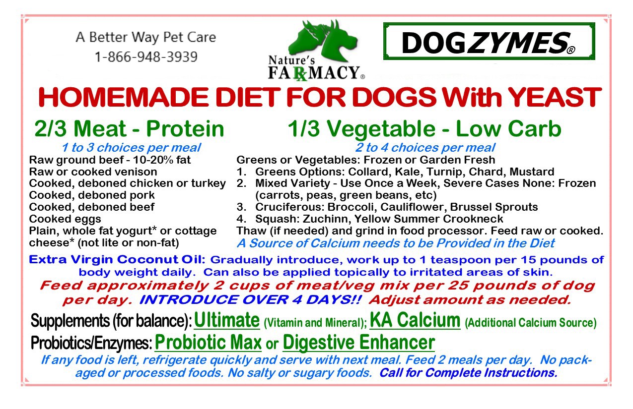 Homemade Diet for dogs with yeast - A Better Way Pet Care